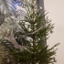 Christmas tree stand image