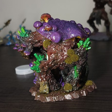 Picture of print of BEHEMOTH GROTTO FUNGI