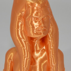 Picture of print of Ahsoka Tano Bust Support Free This print has been uploaded by panda zhang