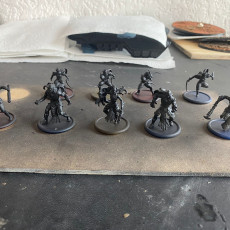 Picture of print of Tyverian Shev Assassin Unit from Dragonbond Wargame