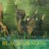 Swamp of Sorrows – Black Dragon image