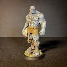 Picture of print of Stone Giant - Tabletop MIniature This print has been uploaded by HOET