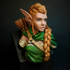Picture of print of Elf Archer Bust Support Free