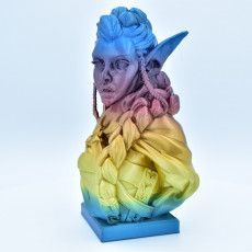 Picture of print of Elf Archer Bust Support Free This print has been uploaded by Nick