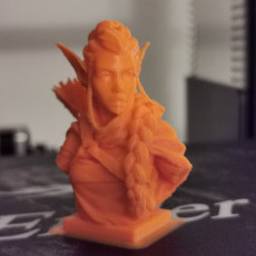 Picture of print of Elf Archer Bust Support Free This print has been uploaded by Brushbeard