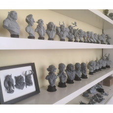 Picture of print of Classic Monsters 6 busts This print has been uploaded by Amadeu Aldavert