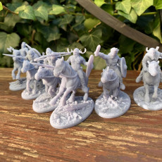 Picture of print of Norseman Rider Warband Presupported