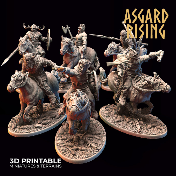 VIKING: Riders Modular Warband /Pre-supported/'s Cover