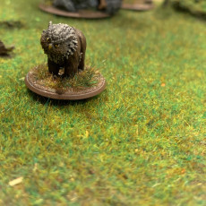 Picture of print of Owlbear baby