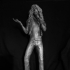 Robert Plant - A pop Culture and Led Zep Inspired Figure -  1/6 scale image