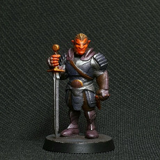 Picture of print of Hobgoblin - Tabletop Miniature (Pre-Supported) This print has been uploaded by TCdeG