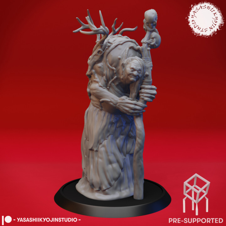 $1.99Annis Hag - Tabletop Miniature (Pre-Supported)
