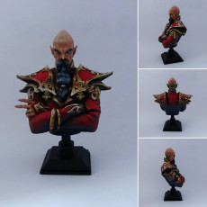 Picture of print of Zondar Valis archmage bust pre-supported