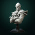Zondar Valis archmage bust pre-supported image