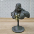 Stone Giant - Bust print image