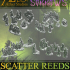 Swamp of Sorrows - Scatter Reeds image