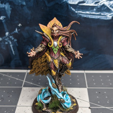 Picture of print of Kivael Sylvanwind - Sylvan Knights Hero This print has been uploaded by Zachary Huffman