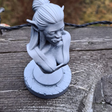 Picture of print of Female Orc Bust This print has been uploaded by King Virr Design