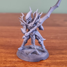 Picture of print of Sylvan Knight - Modular A (male)