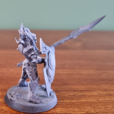 Picture of print of Sylvan Knight - Modular B (male)
