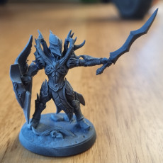 Picture of print of Sylvan Knight - Modular C (male)