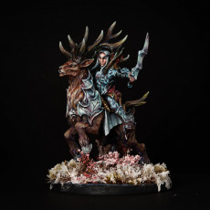 Picture of print of Sylvan Stag Riders - 3 Modular Units with mounts