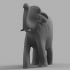 Elephant rond image