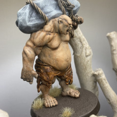 Picture of print of Ogre - Tabletop Miniature (Pre-Supported)