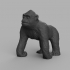Gorille image