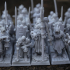 Warriors of the Lady Core Unit - Highlands Miniatures image