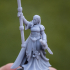 Damsel of the Lady - Highlands Miniatures image