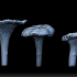 Mini Mushrooms, Mosses, and Rocks image