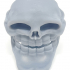 Homo Trollus Faceus - around 21 century A.D. Troll Face Skull 3D printable image