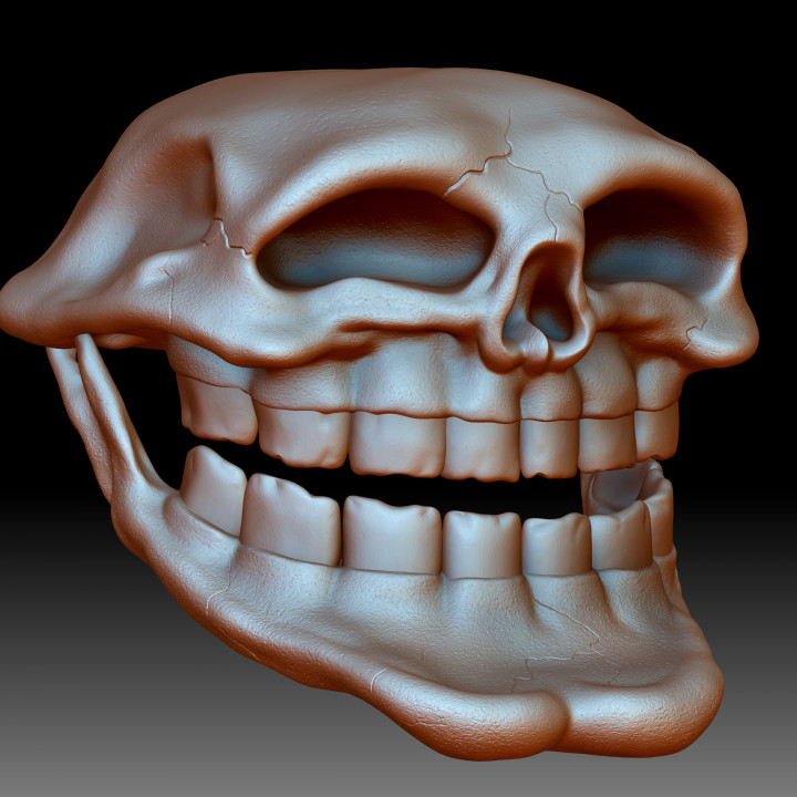 $3.00Homo Trollus Faceus - around 21 century A.D. Troll Face Skull 3D printable