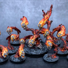 Picture of print of Possessed Flaming Skulls (5 variations)