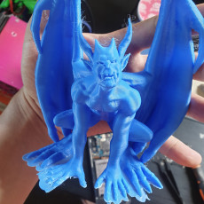 Picture of print of Gargoyle This print has been uploaded by Smoochiees