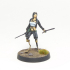Female Assassin with blades image