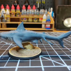 Picture of print of Hammerhead Shark