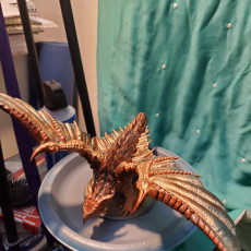 Picture of print of Copper Dragon