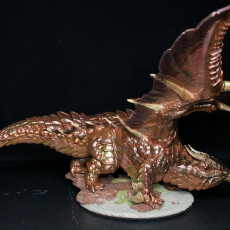 Picture of print of Copper Dragon This print has been uploaded by John K