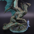 Bronze Dragon print image