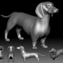 Dutch hound Dachshund 3D printable model image