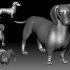 Dutch hound Dachshund 3D printable model image
