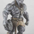 Stone Giant - Tabletop Miniature (Pre-Supported) print image