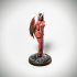 Succubus - Tabletop Miniature (Pre-Supported) print image