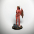 Succubus - Tabletop Miniature (Pre-Supported) print image