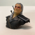 Geralt of Rivia / the Witcher bust / Henry Cavill print image
