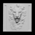 Lion head relief image