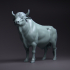 Braunvieh (Swiss Brown) Bull image