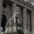 Lion at the entrance of  the Palace of Justice in Vienna image